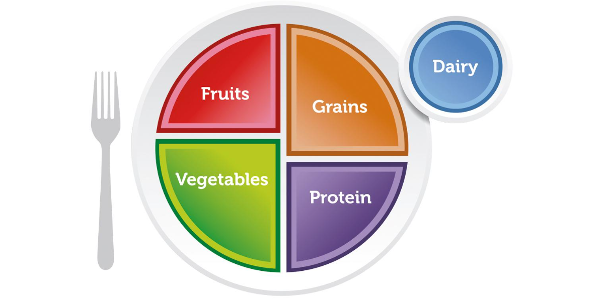 Nutrition 101: A Foundation for Healthy Eating | YMCA Activate Idaho Falls